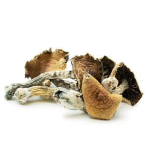 Buy Brazilian Cubensis Online