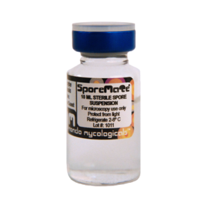 Treasure Coast Psilocybe cubensis spores